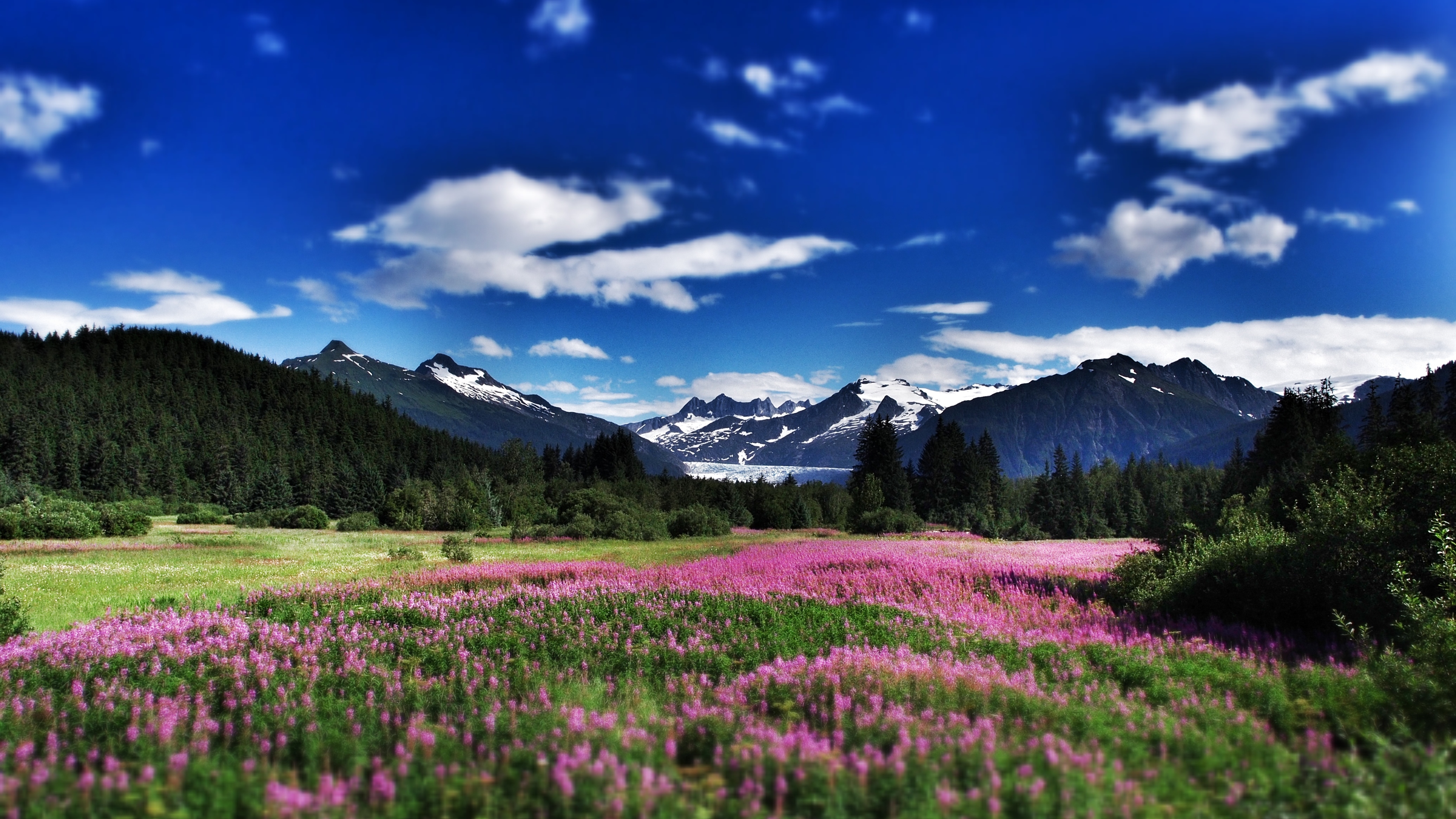 Brotherhood Bridge Scene